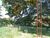 Terreno, 600 m² - Foto 3