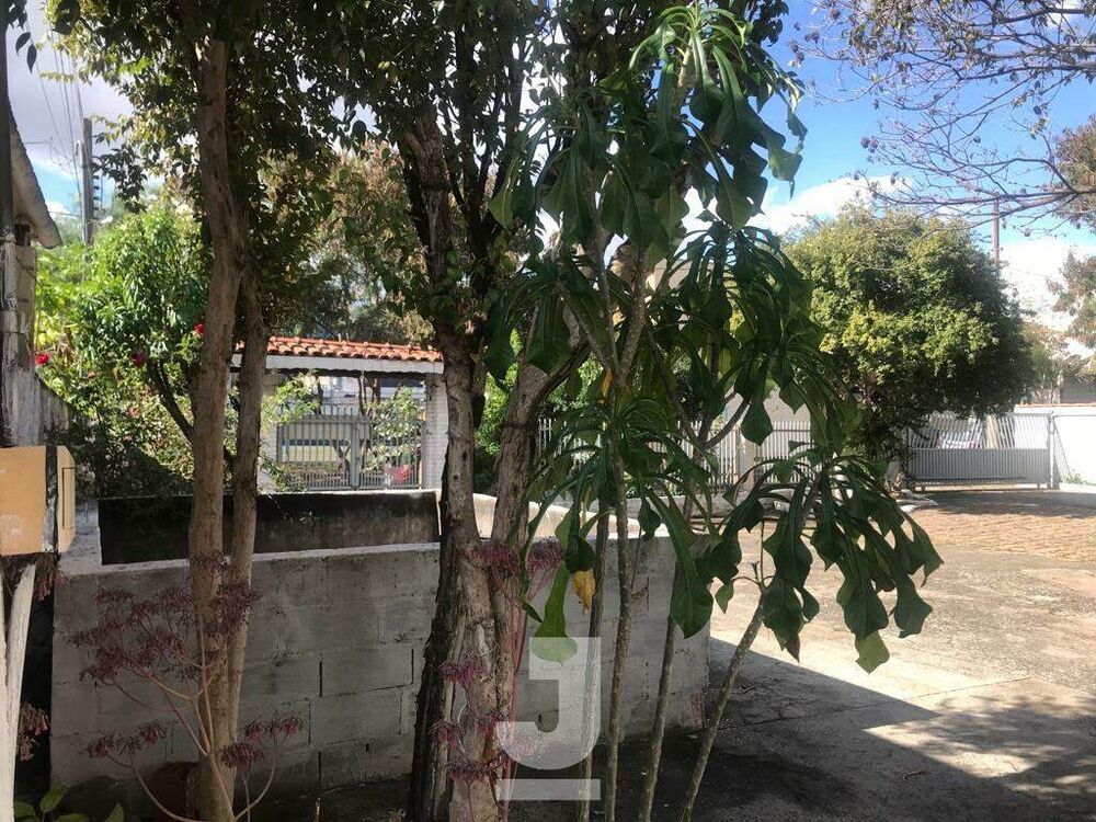Casa, 2 quartos, 1053 m² - Foto 3