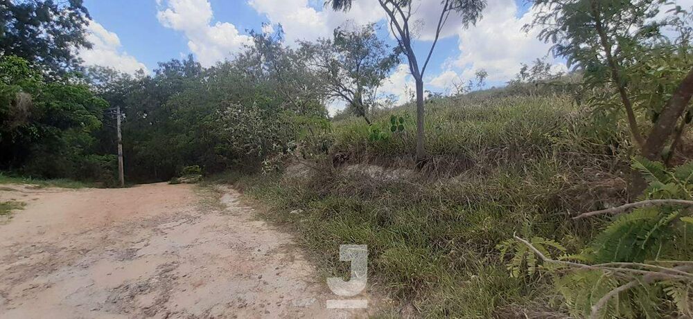 Terreno, 1000 m² - Foto 3