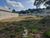 Terreno, 397 m² - Foto 1
