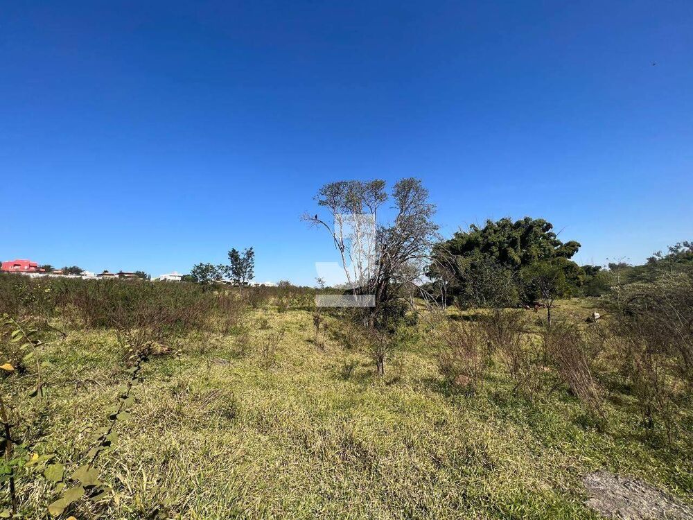 Terreno, 2 hectares - Foto 14