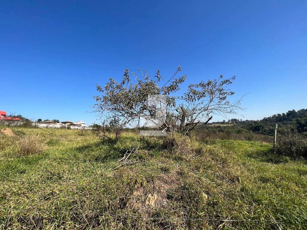 Terreno, 2 hectares - Foto 12