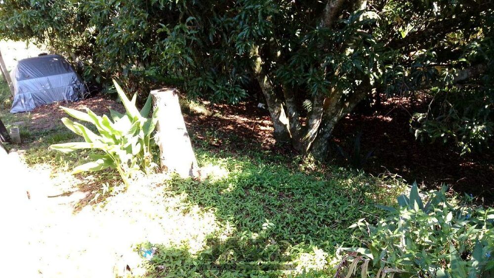 Terreno, 654 m² - Foto 4