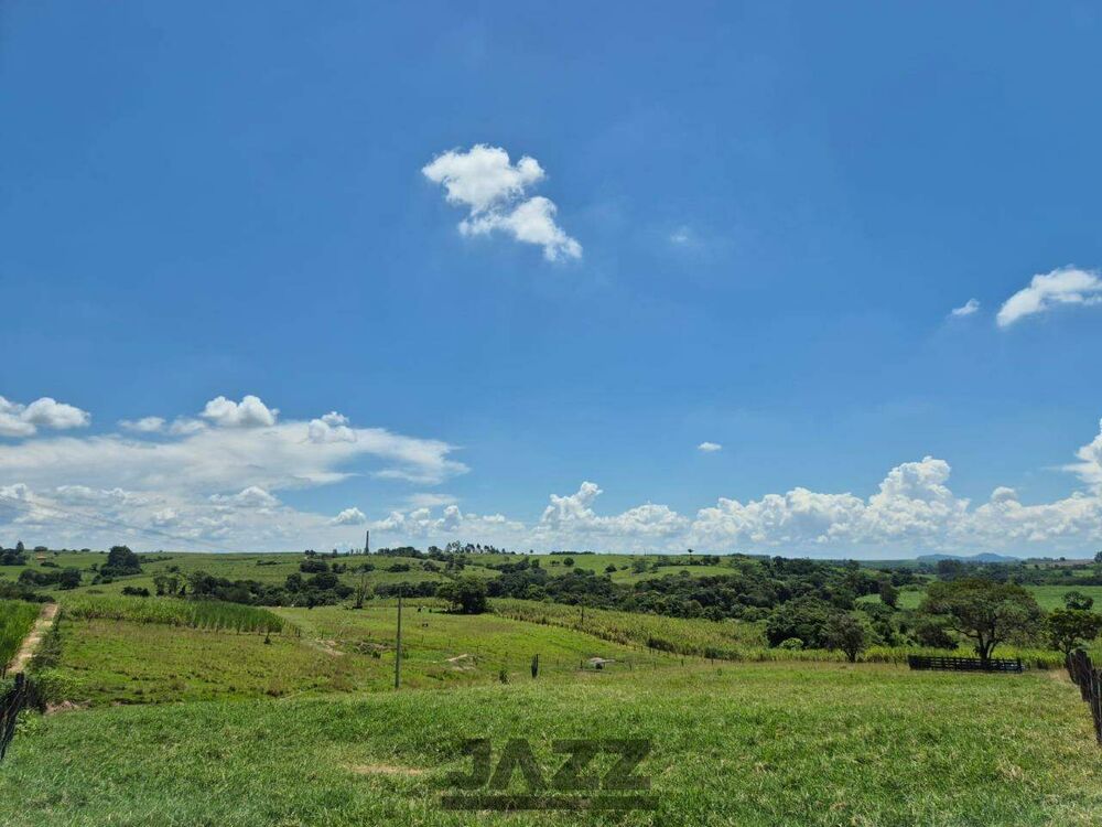 Sítio, 7 hectares - Foto 18