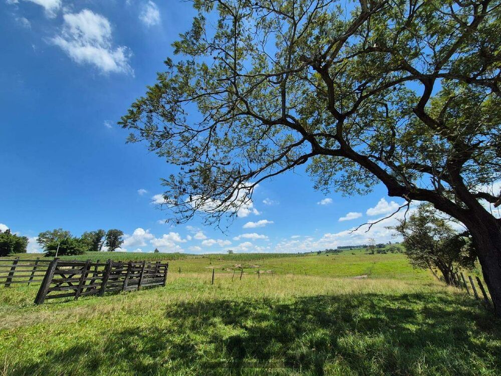 Sítio, 7 hectares - Foto 2