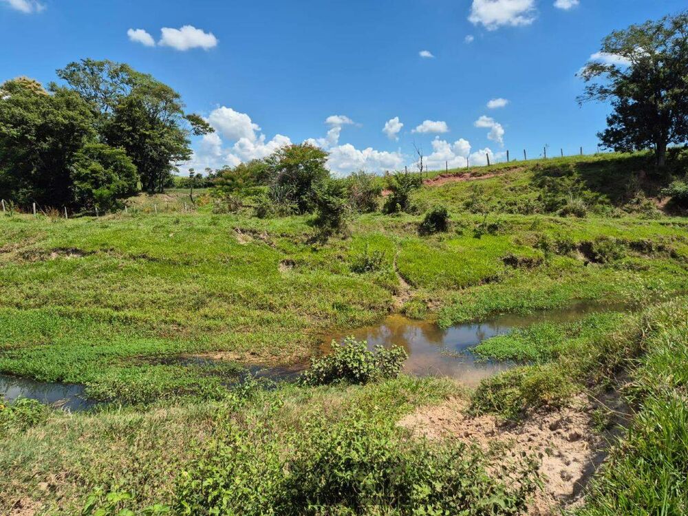 Sítio, 7 hectares - Foto 7