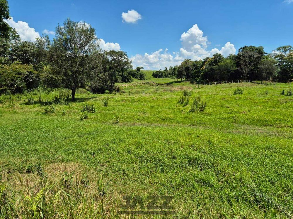 Sítio, 7 hectares - Foto 10