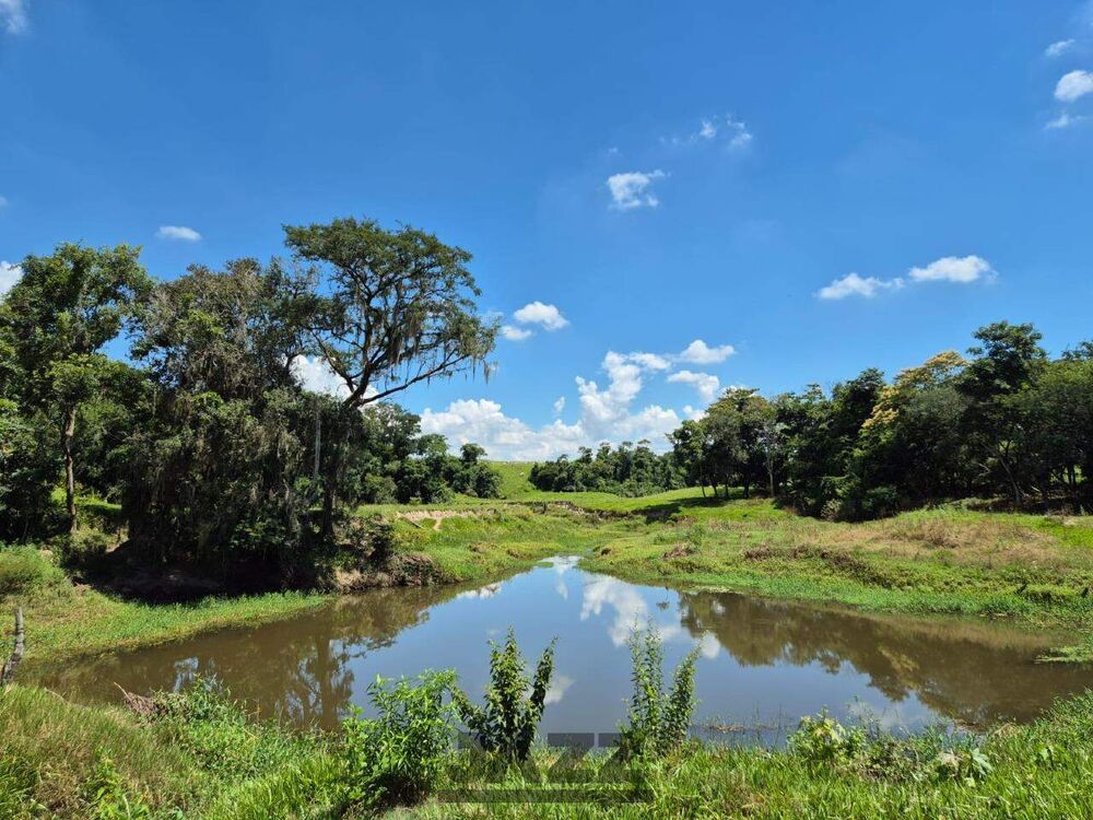 Sítio, 7 hectares - Foto 11