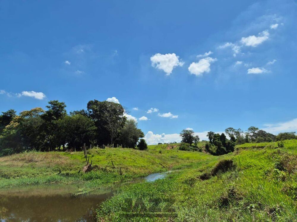 Sítio, 7 hectares - Foto 9