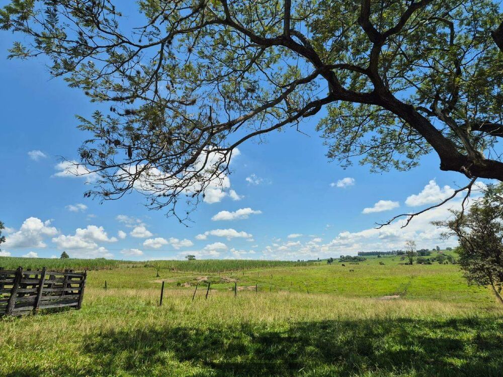 Sítio, 7 hectares - Foto 1