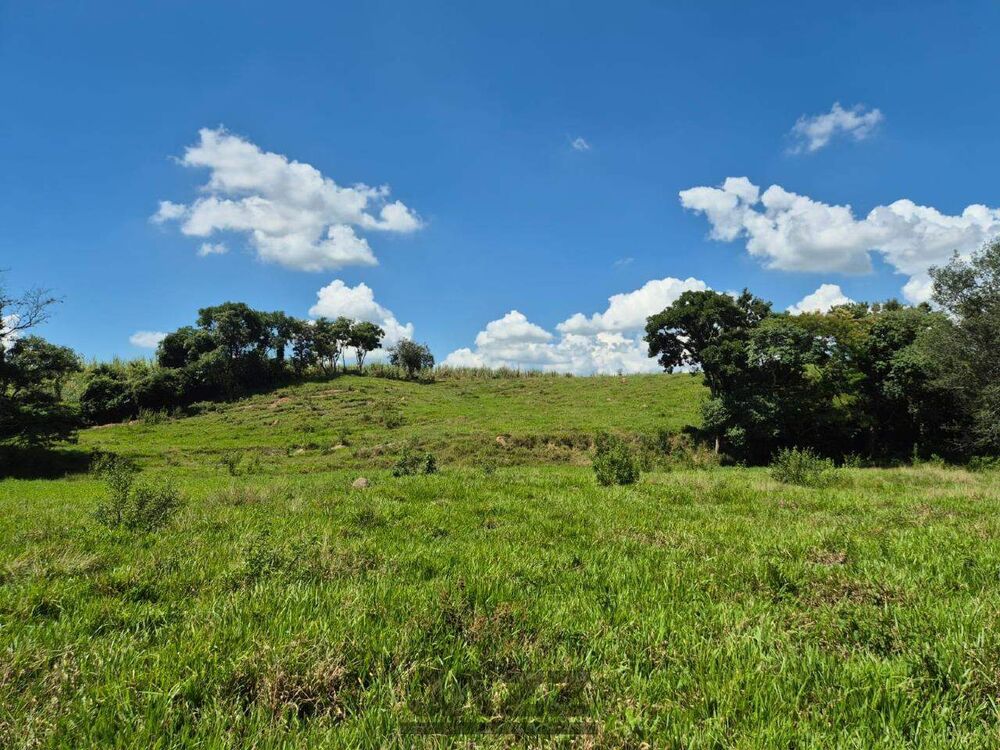 Sítio, 7 hectares - Foto 4