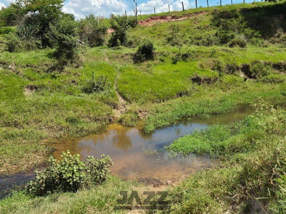 Sítio, 7 hectares - Foto 6