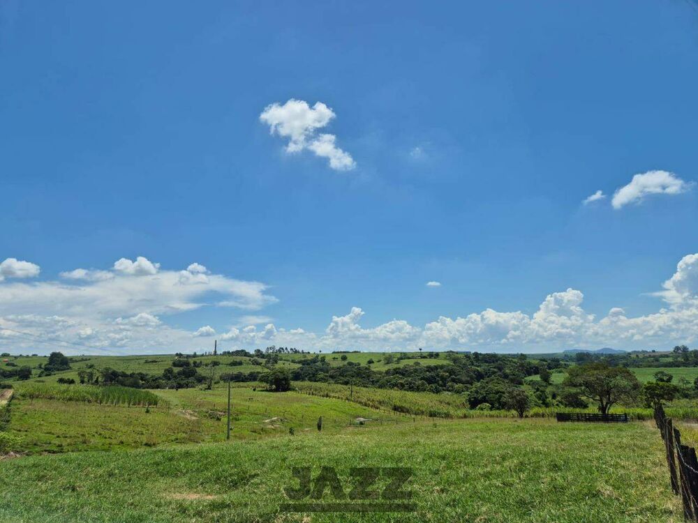 Sítio, 7 hectares - Foto 20