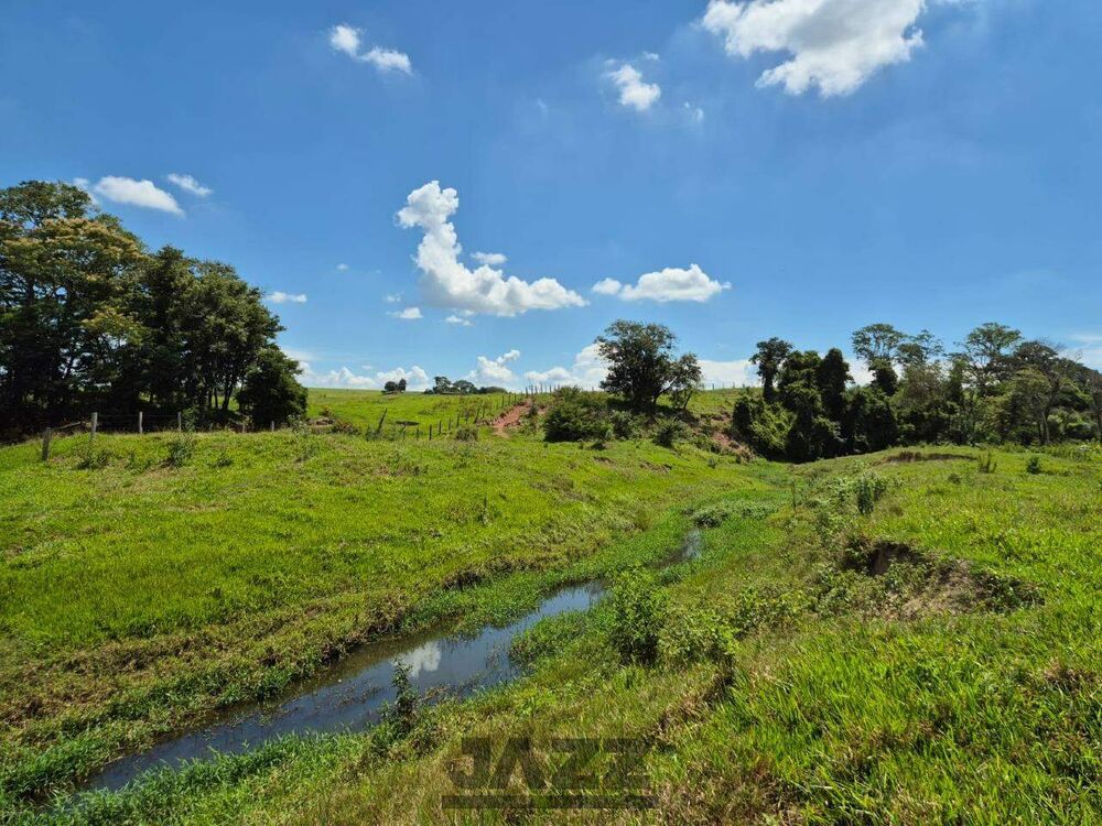Sítio, 7 hectares - Foto 8