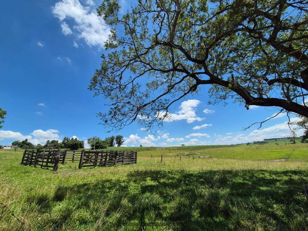 Sítio, 7 hectares - Foto 19