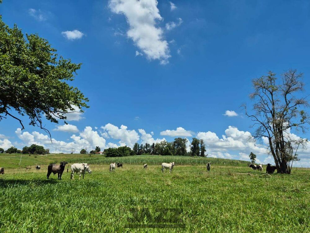 Sítio, 7 hectares - Foto 16