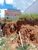 Terreno, 140 m² - Foto 1