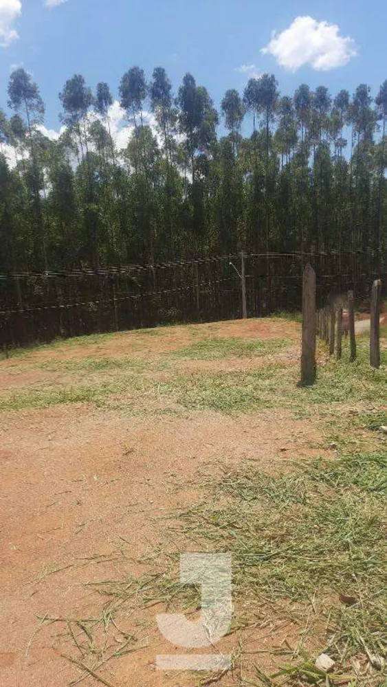 Terreno, 1000 m² - Foto 3
