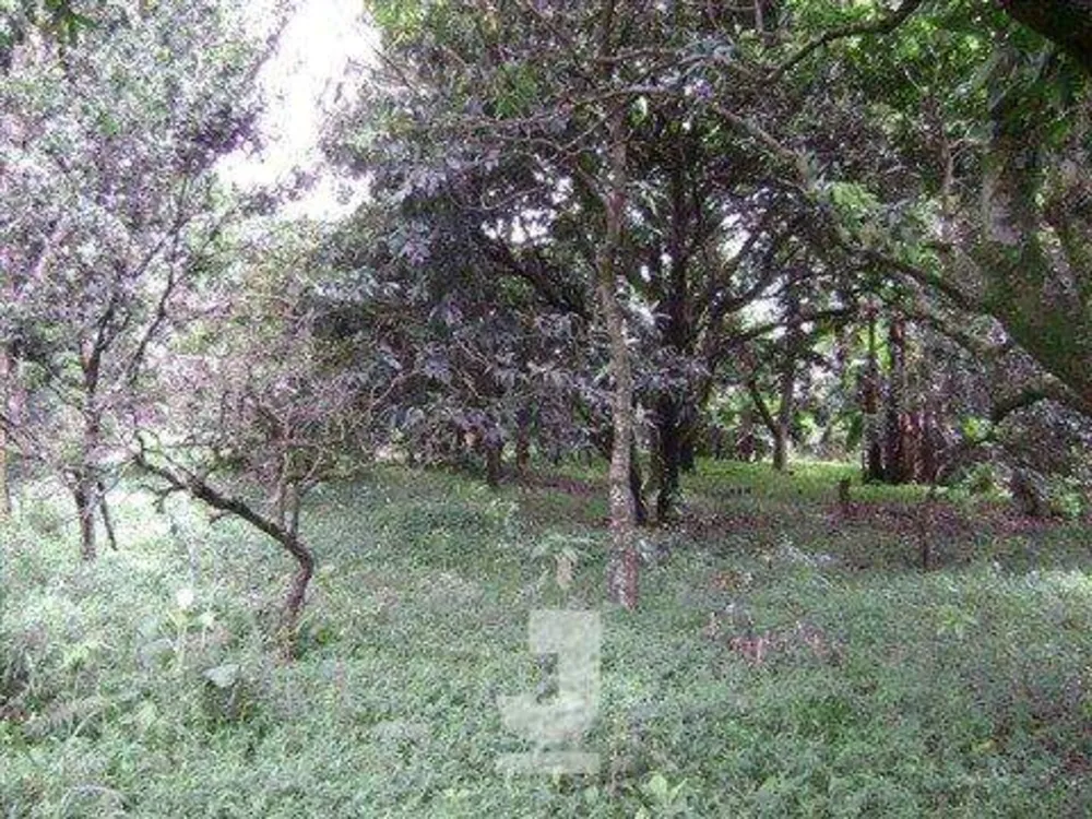 Terreno, 1 hectares - Foto 8