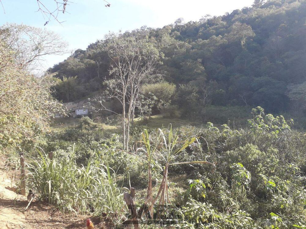 Sítio à venda com 4 quartos, 200m² - Foto 7