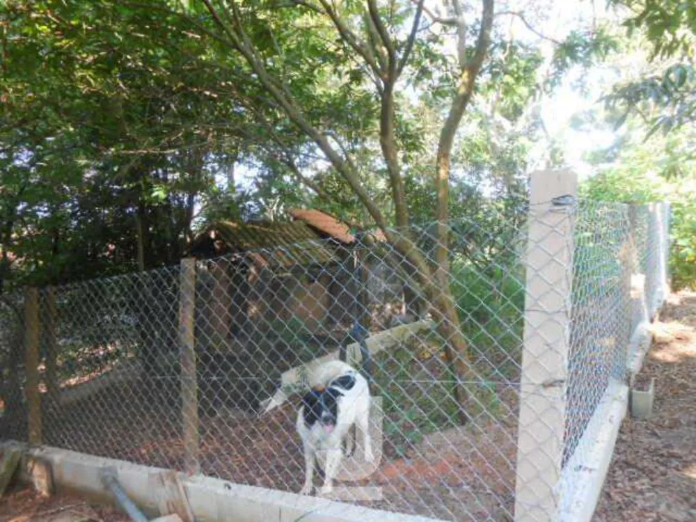 Sítio, 4 quartos, 4 hectares - Foto 39