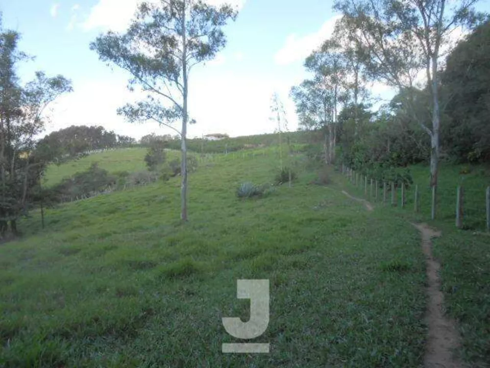 Sítio, 4 quartos, 4 hectares - Foto 30