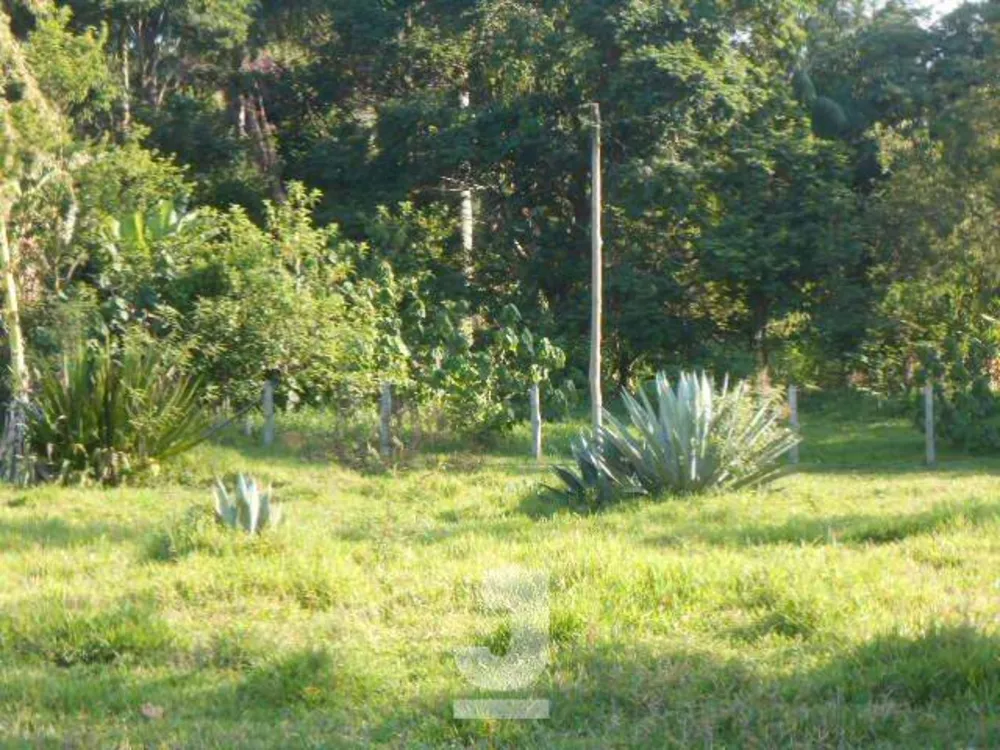 Sítio, 4 quartos, 4 hectares - Foto 29