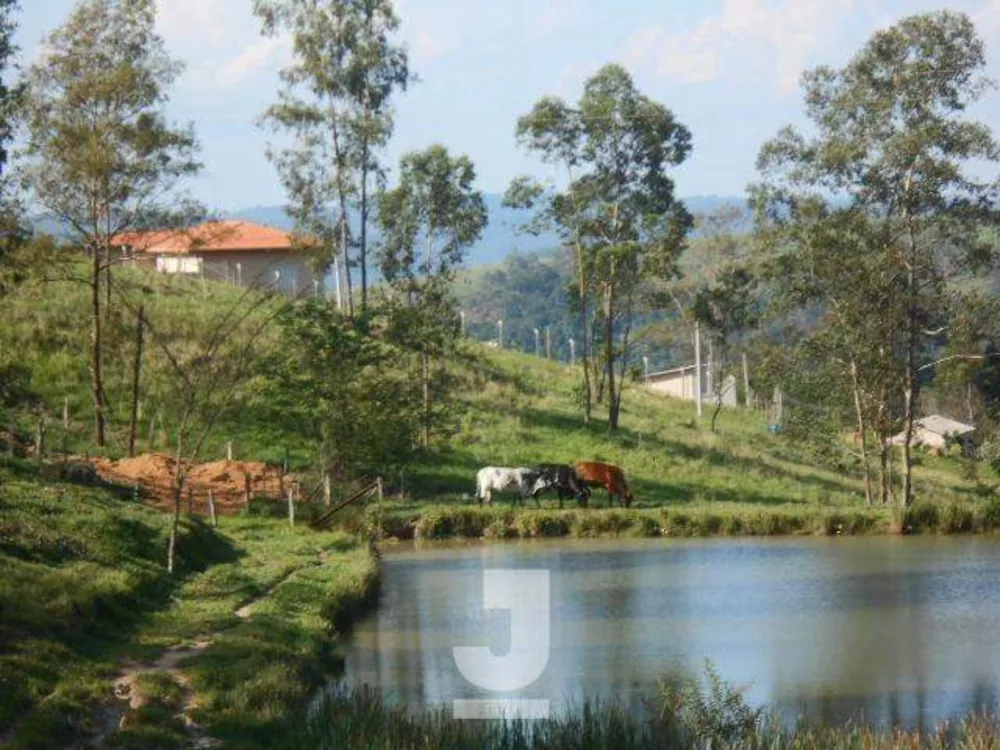 Sítio, 4 quartos, 4 hectares - Foto 33