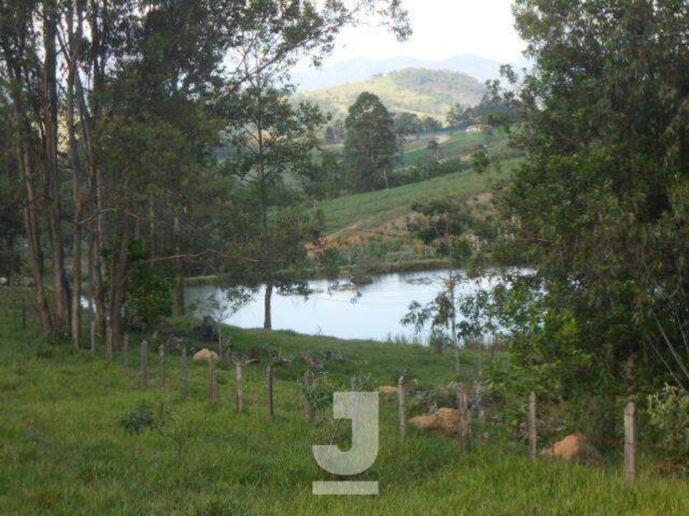 Sítio à venda com 4 quartos, 350m² - Foto 17