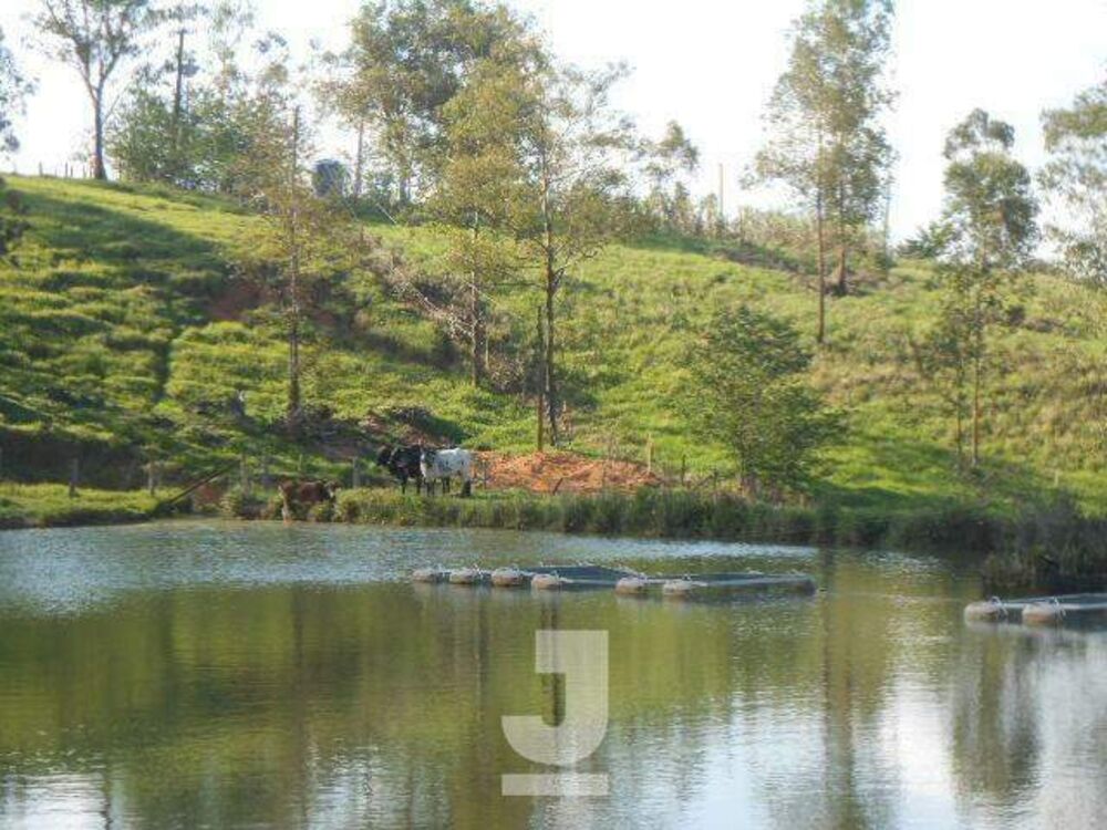 Sítio à venda com 4 quartos, 350m² - Foto 1