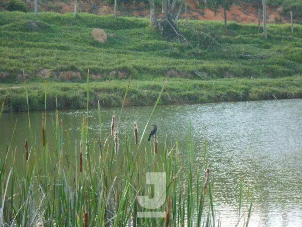 Sítio, 4 quartos, 4 hectares - Foto 35