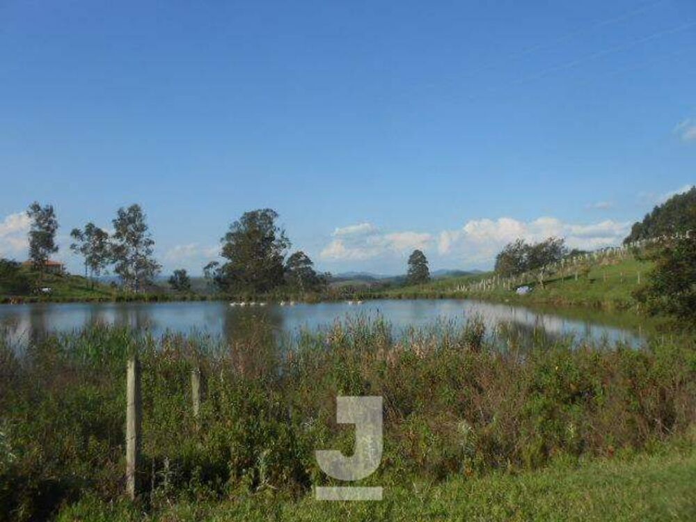Sítio à venda com 4 quartos, 350m² - Foto 19
