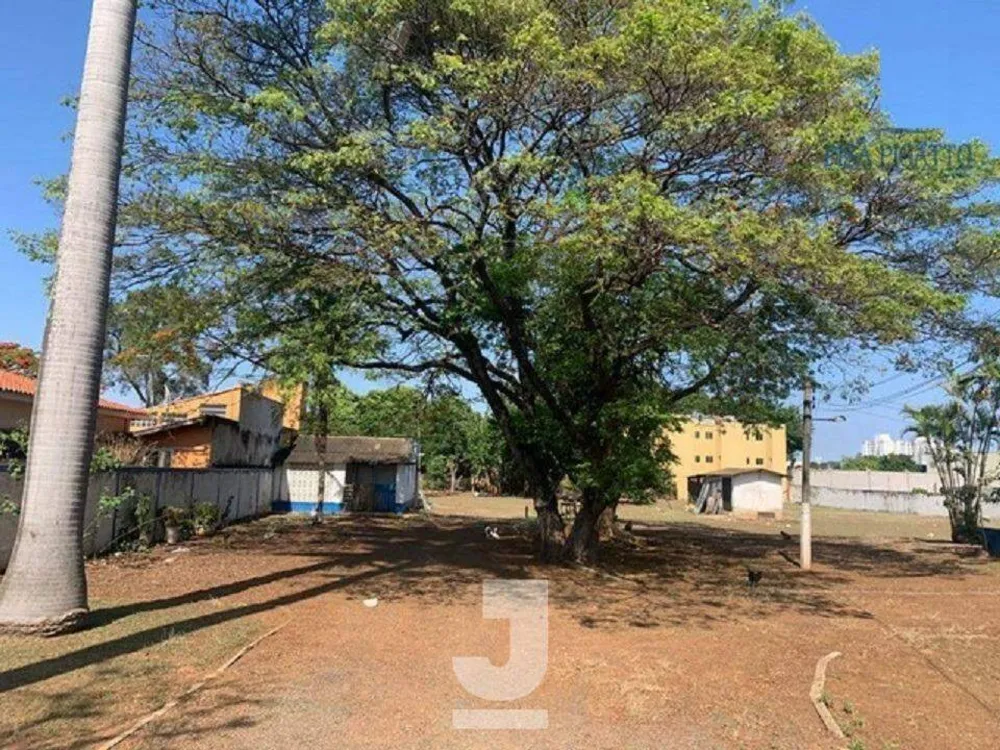 Terreno, 4850 m² - Foto 2