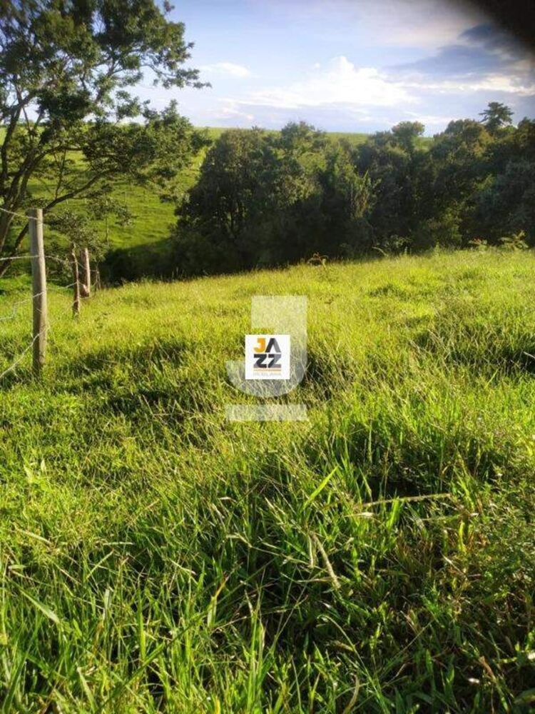 Sítio, 2 hectares - Foto 4