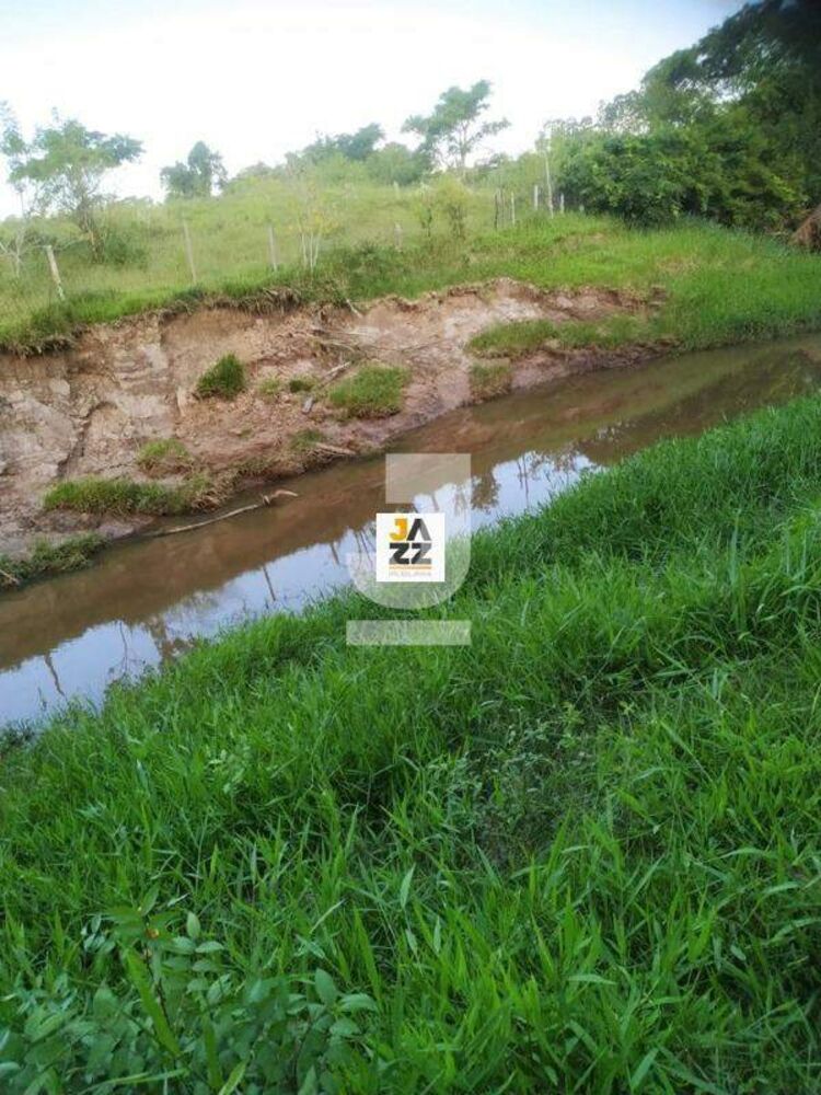 Sítio, 3 hectares - Foto 4