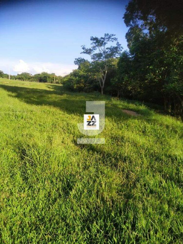 Sítio, 3 hectares - Foto 3