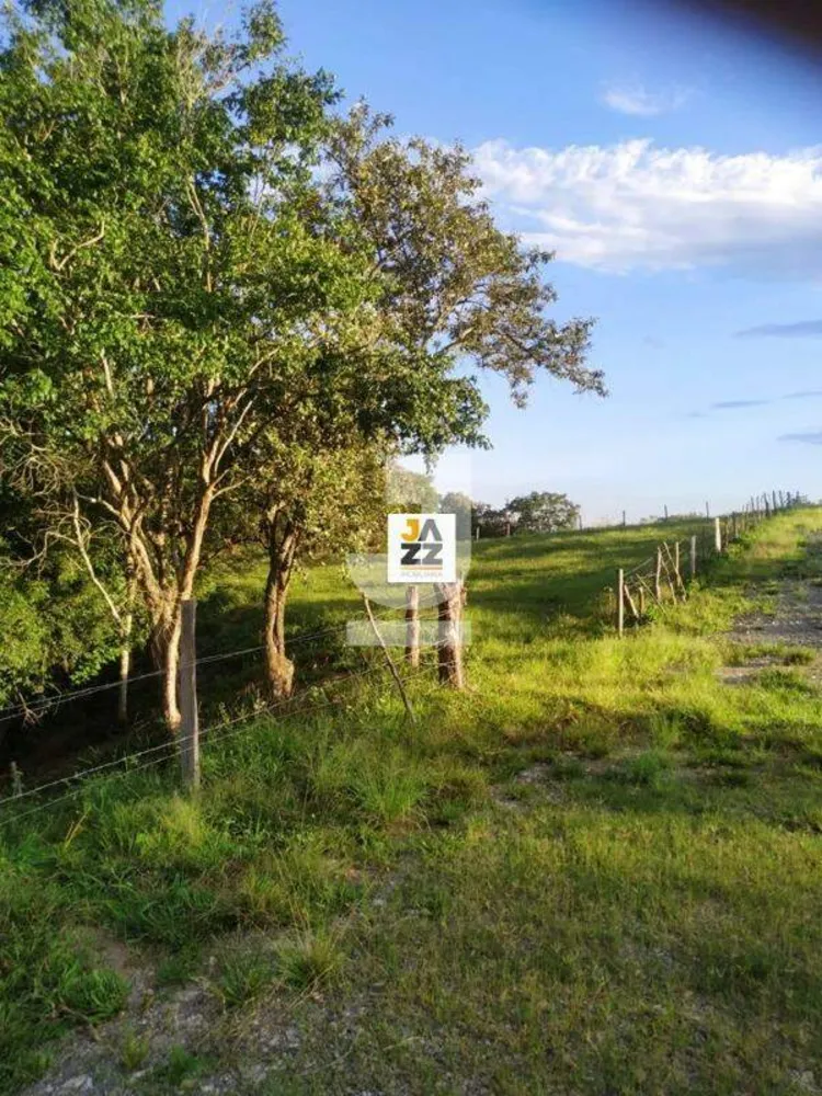 Sítio, 3 hectares - Foto 8