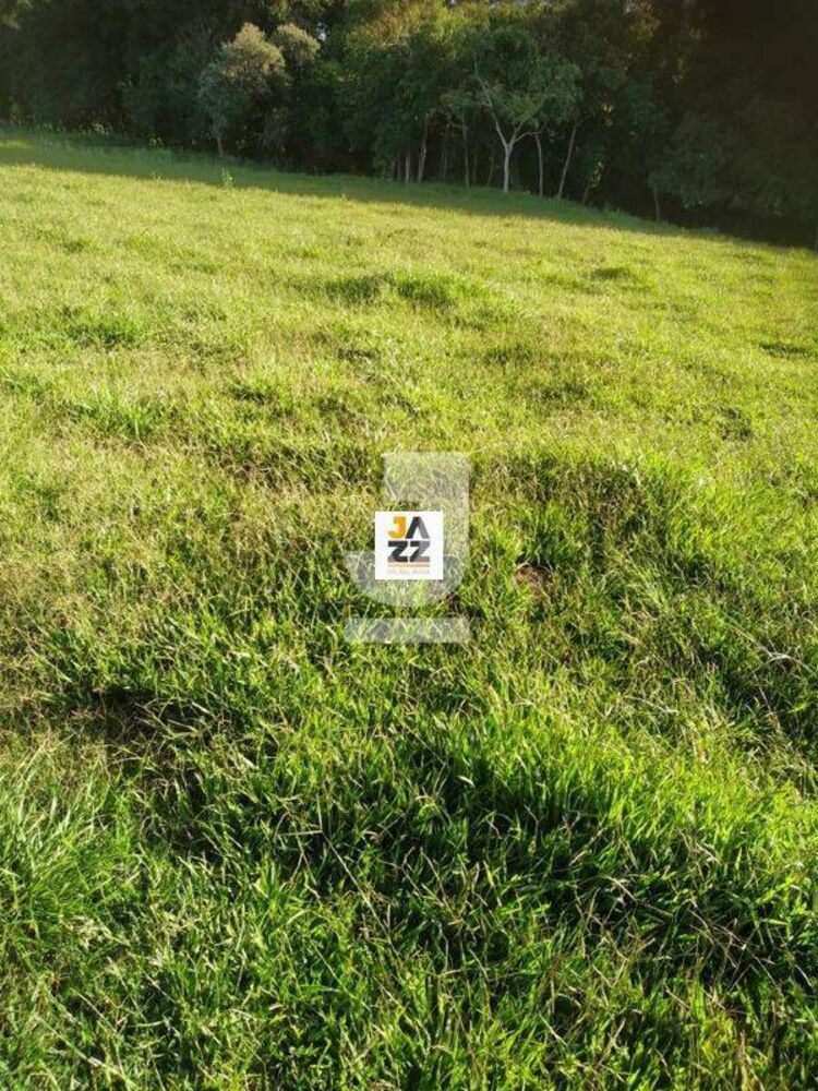 Sítio, 3 hectares - Foto 2