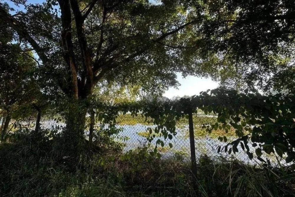 Terreno, 3400 m² - Foto 7