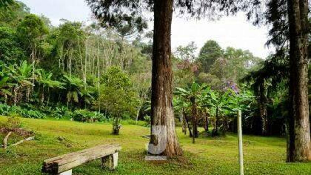 Sítio, 4 quartos, 2 hectares - Foto 4