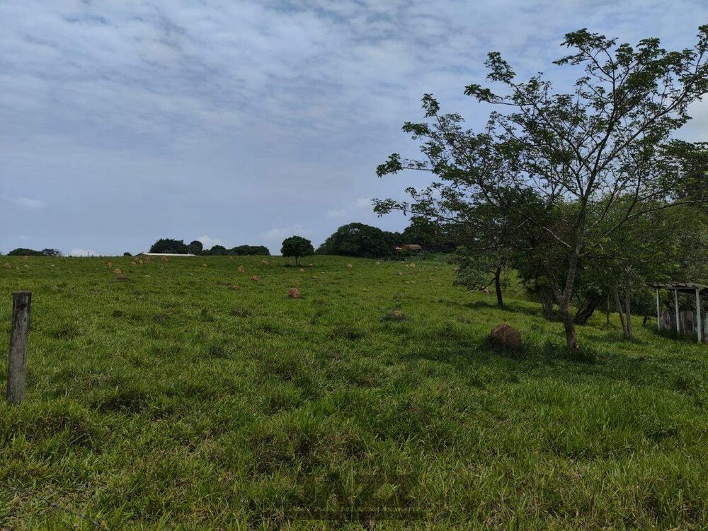 Sítio, 7 hectares - Foto 4