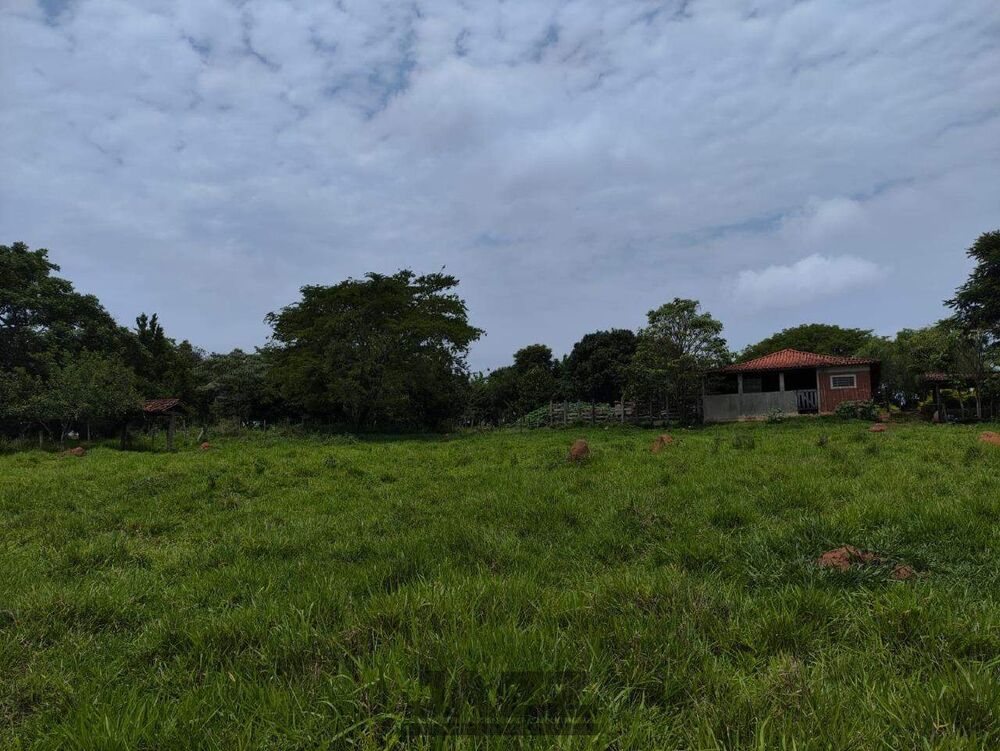 Sítio, 7 hectares - Foto 2