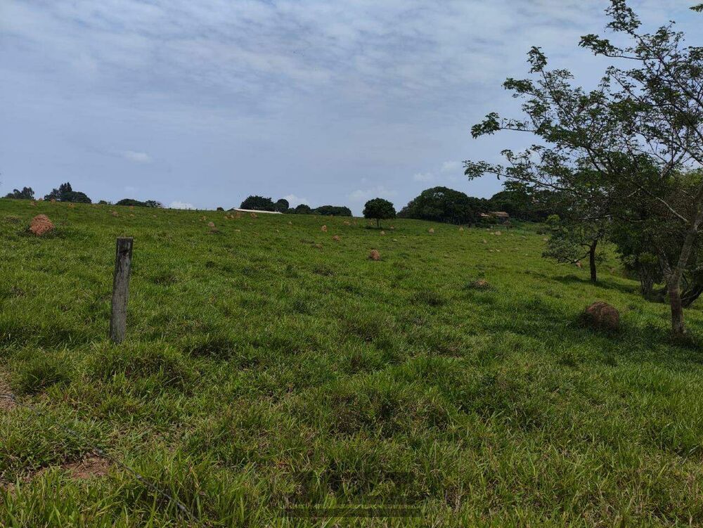 Sítio, 7 hectares - Foto 3