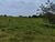 Sítio, 7 hectares - Foto 3