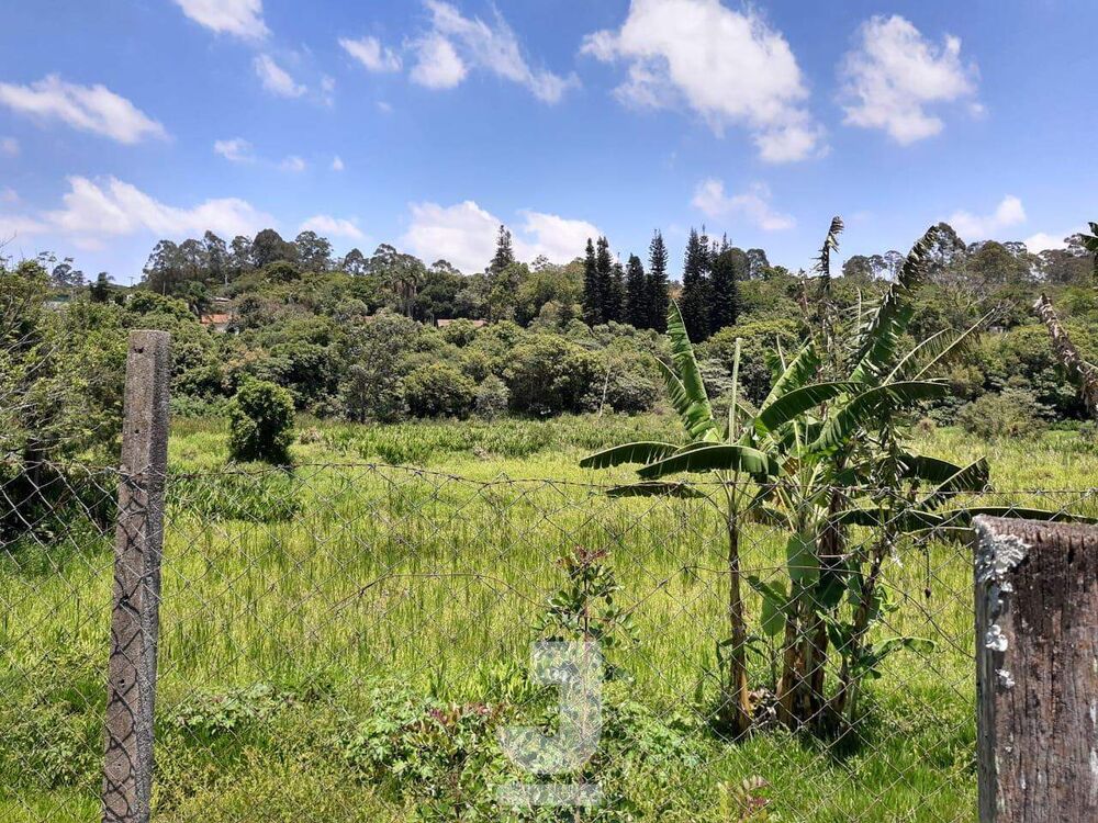 Chácara, 2 quartos, 2 hectares - Foto 3