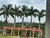 Fazenda-Sítio-Chácara, 2000 m² - Foto 4