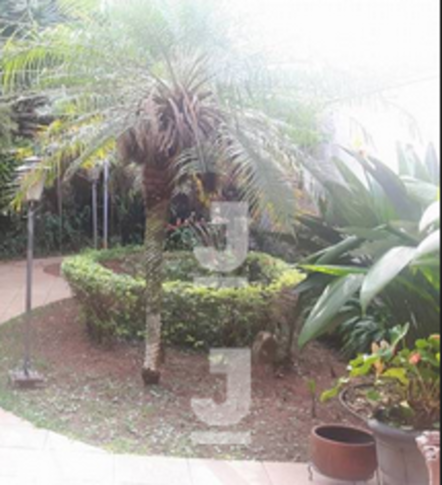 Casa, 4 quartos, 371 m² - Foto 21