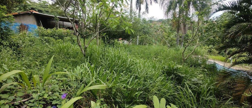 Terreno, 2075 m² - Foto 2