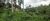 Terreno, 2075 m² - Foto 1