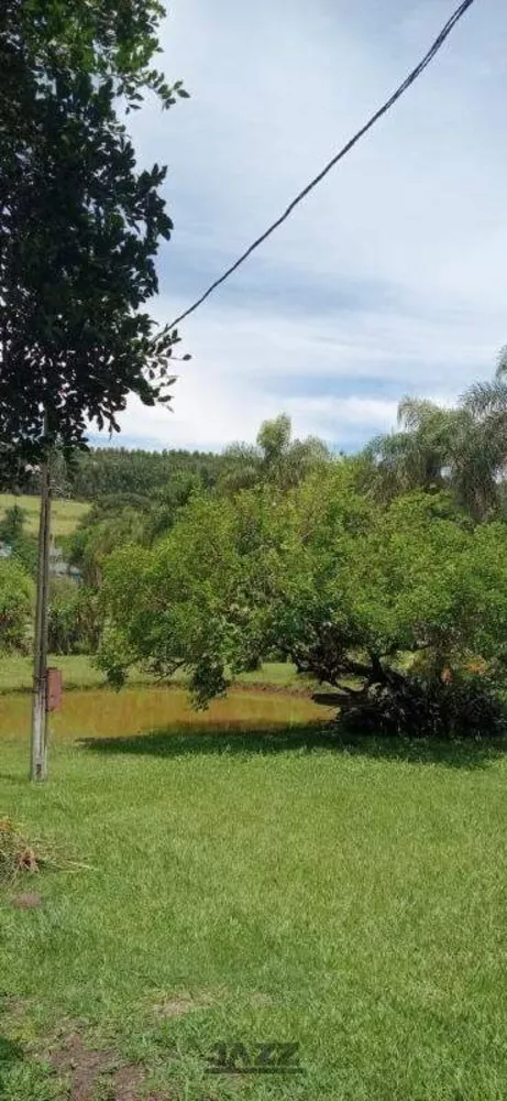 Chácara, 5 quartos, 9070 m² - Foto 9